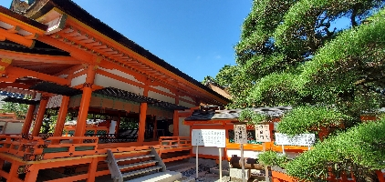 しおりん
