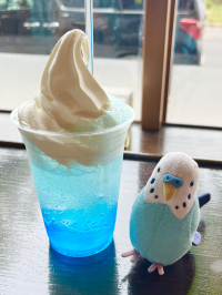 おまめ