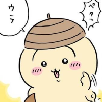 ﾌﾟﾙｬ