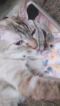 エマ