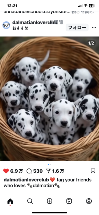 ひとこんひとこん