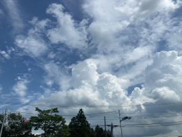 無地タロー