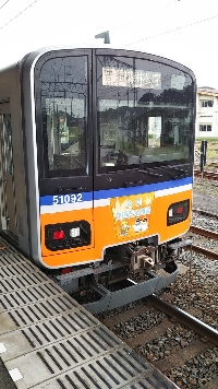 つるがしまわかば