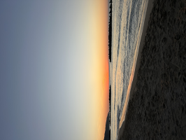 017