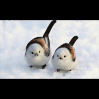 ひさ