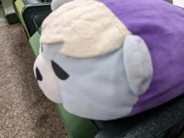 せいこ