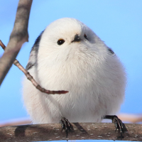 つな
