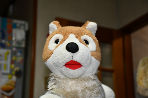 しゃぬ