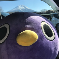 日和見菌