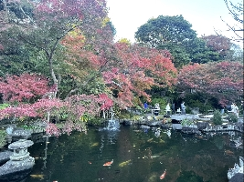 人間模樣