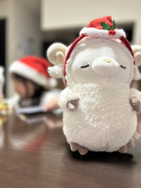 ノン
