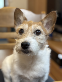 スーパーラッキー