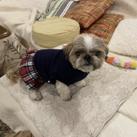 ヒデ