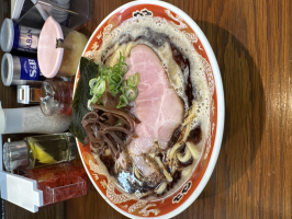 東京たぬき