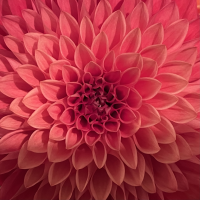 103