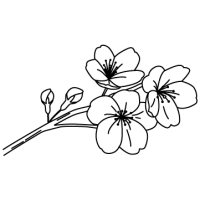 kirarapp