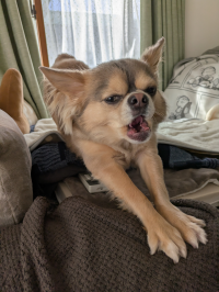 まーじろう