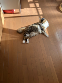 うにに