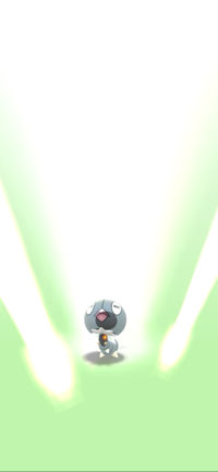 ぽん