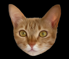 m.c