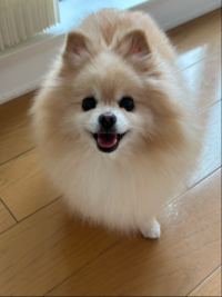 むじくろう