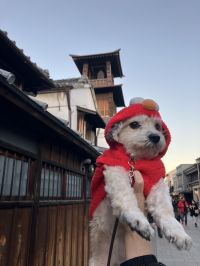 にゃるこ