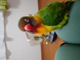 くまなお