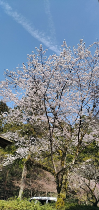 びん