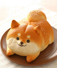 十六夜月