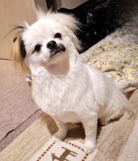 あき