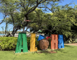 aloha
