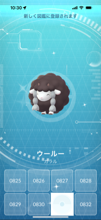 せとち