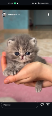 おね