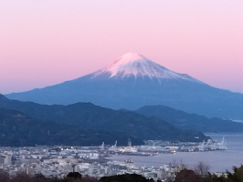 まみ