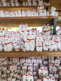 ぐりよし