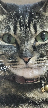 ルンルンりおん