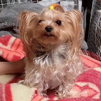 みぃ