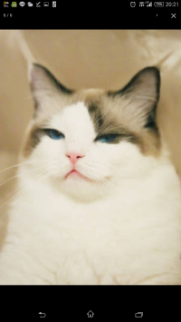 みこ