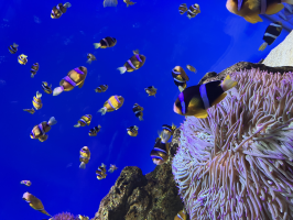 フレンドパーク