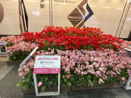 マスカレード
