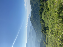 ここな