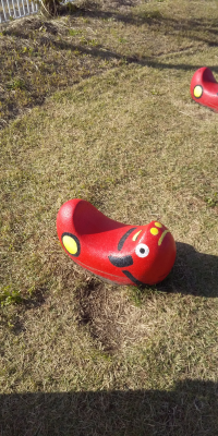 サンザシ