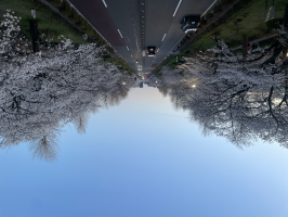 いっちー