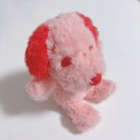 すぬこ
