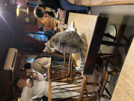 オガワ