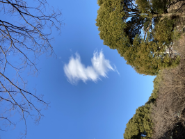 白い雲
