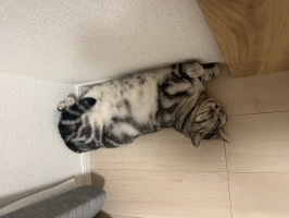 あ♪こ