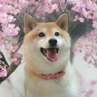 ケイノジ