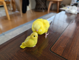めい