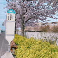 ひなた